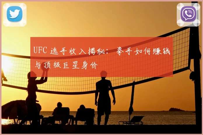 UFC 选手收入揭秘:拳手如何赚钱与顶级巨星身价