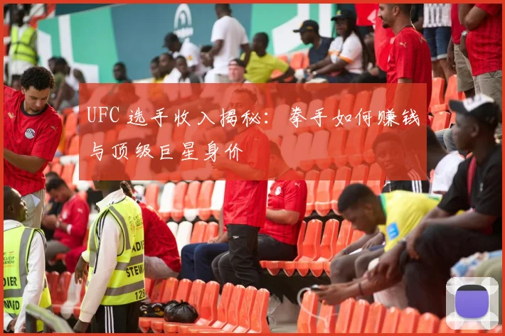UFC 选手收入揭秘：拳手如何赚钱与顶级巨星身价