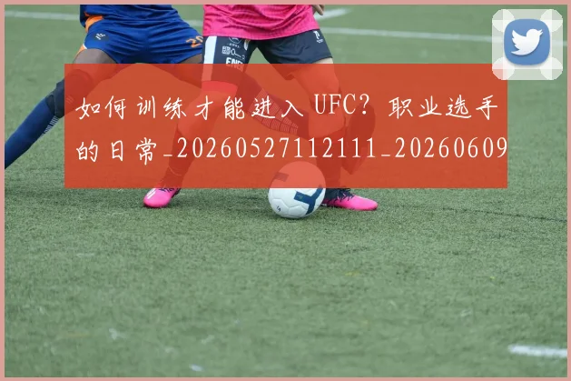 如何训练才能进入 UFC？职业选手的日常_20260527112111_20260609161400