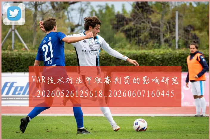 VAR技术对法甲联赛判罚的影响研究_20260526125618_20260607160445