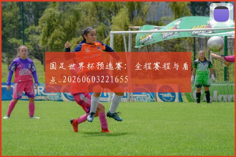 国足世界杯预选赛：全程赛程与看点_20260603221655